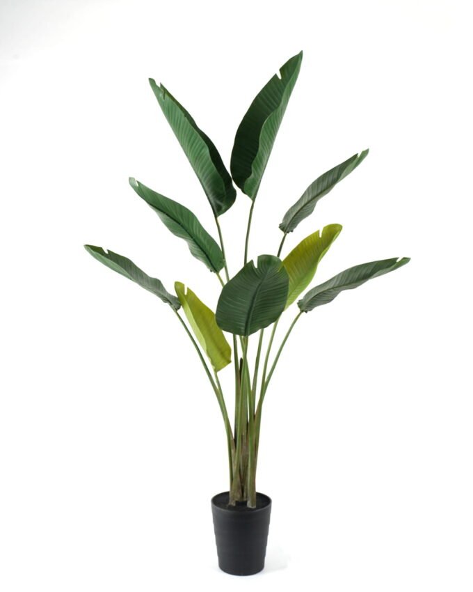 Artificial Tree 110*110*182cm  Strelitziaceae *2 in PP pot GS-59522043 Tree&Plant YeahFlower is one of Chinese leading OEM manufacturers and exporters , supplying the silk flowers, wholesale artificial trees