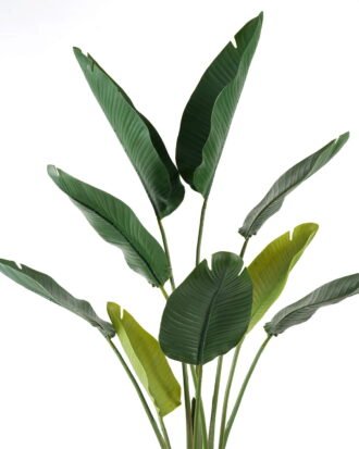 Artificial Tree 110*110*182cm  Strelitziaceae *2 in PP pot GS-59522043 Tree&Plant YeahFlower is one of Chinese leading OEM manufacturers and exporters , supplying the silk flowers, wholesale artificial trees