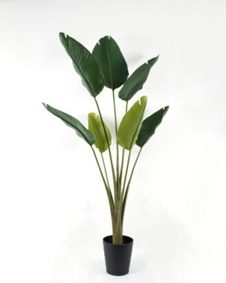Artificial Tree 100*100*182cm Strelitziaceae in PP pot GS-59522044 Tree&Plant YeahFlower is one of Chinese leading OEM manufacturers and exporters , supplying the silk flowers, wholesale artificial trees