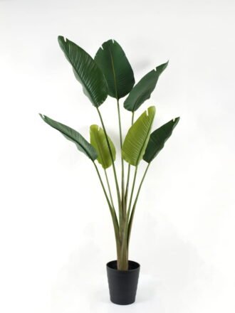 Artificial Tree 110*110*182cm  Strelitziaceae *2 in PP pot GS-59522043 Tree&Plant 3,000+ sqm showroom with thousands of artificial flowers, plants & trees ready for global sourcing.