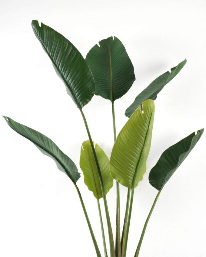 Artificial Tree 100*100*182cm Strelitziaceae in PP pot GS-59522044 Tree&Plant YeahFlower is one of Chinese leading OEM manufacturers and exporters , supplying the silk flowers, wholesale artificial trees