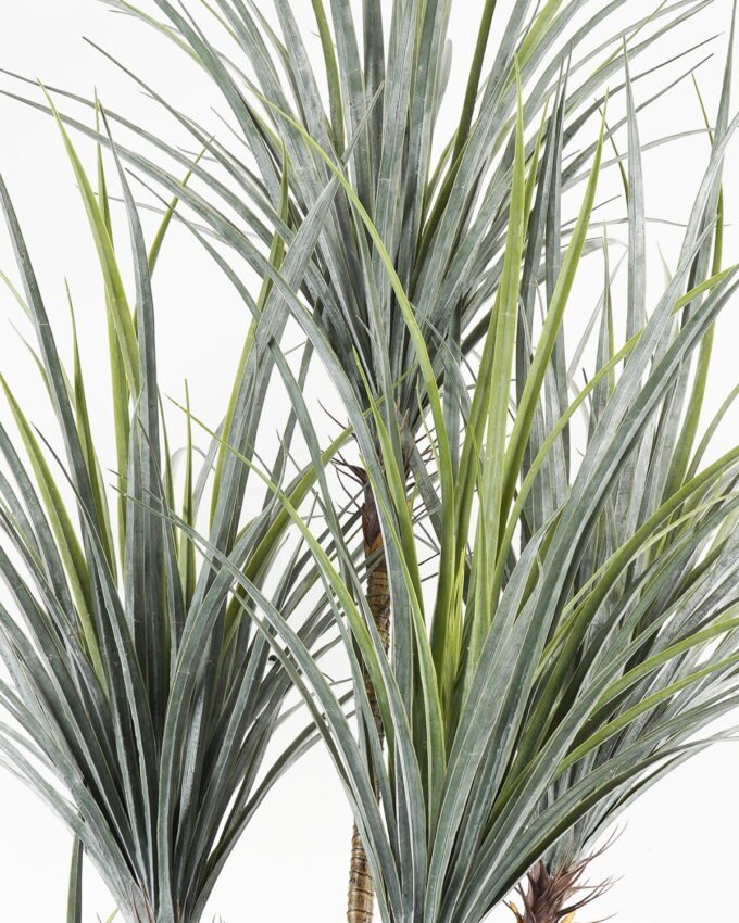 Artificial Tree 100*90*200cm Yucca tree in PP pot GS-67322043CONTI-G2 Tree&Plant YeahFlower is one of Chinese leading OEM manufacturers and exporters , supplying the silk flowers, wholesale artificial trees