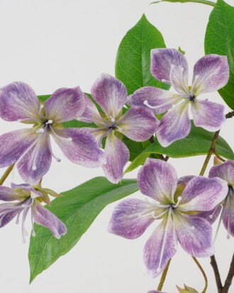 Artificial Flower 107cm Leafed Jasmine Flower*2 GS-39122020-Z1 Single Flowers YeahFlower is one of Chinese leading OEM manufacturers and exporters , supplying the silk flowers, wholesale artificial trees Artificial Flower 107cm Leafed Jasmine Flower*2 GS-39122020-Z1 Single Flowers YeahFlower is one of Chinese leading OEM manufacturers and exporters , supplying the silk flowers, wholesale artificial trees