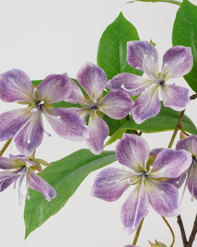 Artificial Flower 107cm Leafed Jasmine Flower*2 GS-39122020-Z1 Single Flowers YeahFlower is one of Chinese leading OEM manufacturers and exporters , supplying the silk flowers, wholesale artificial trees