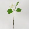 Artificial Flower 55cm Single Bauhinia Flower GS-39122007-W1 Single Flowers YeahFlower is one of Chinese leading OEM manufacturers and exporters , supplying the silk flowers, wholesale artificial trees