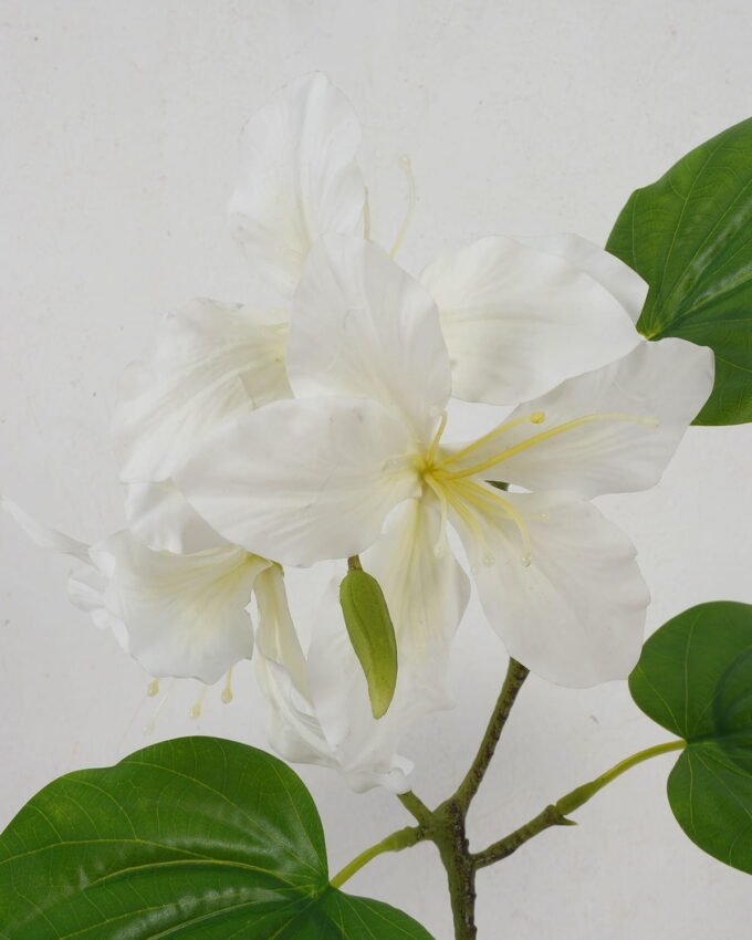 Artificial Flower 55cm Single Bauhinia Flower GS-39122007-W1 Single Flowers YeahFlower is one of Chinese leading OEM manufacturers and exporters , supplying the silk flowers, wholesale artificial trees