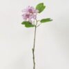 Artificial Flower 55cm Single Bauhinia Flower GS-39122007-Z1 Single Flowers YeahFlower is one of Chinese leading OEM manufacturers and exporters , supplying the silk flowers, wholesale artificial trees