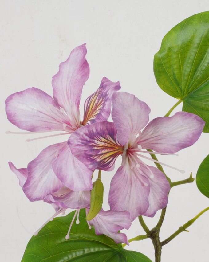 Artificial Flower 55cm Single Bauhinia Flower GS-39122007-Z1 Single Flowers YeahFlower is one of Chinese leading OEM manufacturers and exporters , supplying the silk flowers, wholesale artificial trees