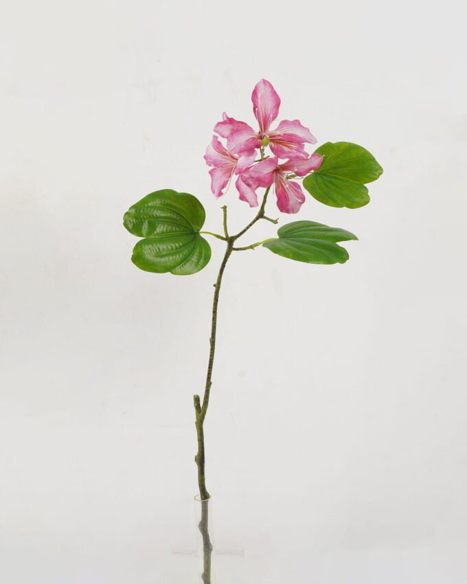 Artificial Flower 55cm Single Bauhinia Flower GS-39122007_3 Artificial Flower 55cm Single Bauhinia Flower GS-39122007 Single Flowers YeahFlower is one of Chinese leading OEM manufacturers and exporters , supplying the silk flowers, wholesale artificial trees