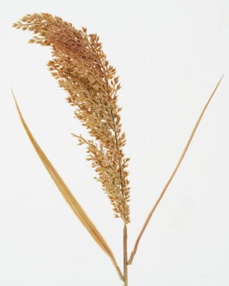 Artificial Flower 66cm Grass single stem GS-36622033OZ Single Flowers YeahFlower is one of Chinese leading OEM manufacturers and exporters , supplying the silk flowers, wholesale artificial trees