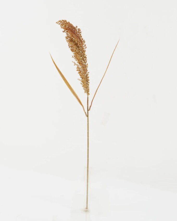 Artificial Flower 66cm Grass single stem GS-36622033OZ_3 Artificial Flower 66cm Grass single stem GS-36622033OZ Single Flowers YeahFlower is one of Chinese leading OEM manufacturers and exporters , supplying the silk flowers, wholesale artificial trees