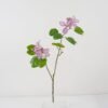 Artificial Flower 74cm Bauhinia Flower 2 GS-39122006-Z1_3 Artificial Flower 74cm Bauhinia Flower*2 GS-39122006-Z1 Single Flowers YeahFlower is one of Chinese leading OEM manufacturers and exporters , supplying the silk flowers, wholesale artificial trees