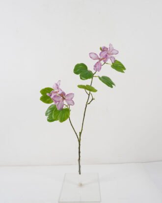 Artificial Flower 74cm Bauhinia Flower*2 GS-39122006-Z1 Single Flowers YeahFlower is one of Chinese leading OEM manufacturers and exporters , supplying the silk flowers, wholesale artificial trees Artificial Flower 74cm Bauhinia Flower*2 GS-39122006-Z1 Single Flowers YeahFlower is one of Chinese leading OEM manufacturers and exporters , supplying the silk flowers, wholesale artificial trees