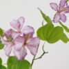 Artificial Flower 74cm Bauhinia Flower 2 GS-39122006-Z1_8 Artificial Flower 74cm Bauhinia Flower*2 GS-39122006-Z1 Single Flowers YeahFlower is one of Chinese leading OEM manufacturers and exporters , supplying the silk flowers, wholesale artificial trees