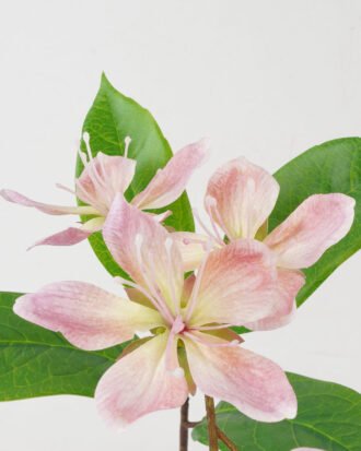 Artificial Flower 80cm Jasmine Flower GS-39122022-P2 Single Flowers YeahFlower is one of Chinese leading OEM manufacturers and exporters , supplying the silk flowers, wholesale artificial trees Artificial Flower 80cm Jasmine Flower GS-39122022-P2 Single Flowers YeahFlower is one of Chinese leading OEM manufacturers and exporters , supplying the silk flowers, wholesale artificial trees