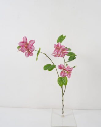 Artificial Flower 83cm Bauhinia Flower*3 GS-39122005-P1 Single Flowers YeahFlower is one of Chinese leading OEM manufacturers and exporters , supplying the silk flowers, wholesale artificial trees Artificial Flower 83cm Bauhinia Flower*3 GS-39122005-P1 Single Flowers YeahFlower is one of Chinese leading OEM manufacturers and exporters , supplying the silk flowers, wholesale artificial trees