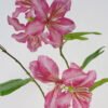 Artificial Flower 83cm Bauhinia Flower 3 GS-39122005-P1_1 Artificial Flower 83cm Bauhinia Flower*3 GS-39122005-P1 Single Flowers YeahFlower is one of Chinese leading OEM manufacturers and exporters , supplying the silk flowers, wholesale artificial trees