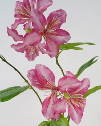Artificial Flower 83cm Bauhinia Flower*3 GS-39122005-P1 Single Flowers YeahFlower is one of Chinese leading OEM manufacturers and exporters , supplying the silk flowers, wholesale artificial trees Artificial Flower 83cm Bauhinia Flower*3 GS-39122005-P1 Single Flowers YeahFlower is one of Chinese leading OEM manufacturers and exporters , supplying the silk flowers, wholesale artificial trees