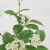 Artificial Flower 90cm Jasmine Flower GS-39122016-W1 Single Flowers YeahFlower is one of Chinese leading OEM manufacturers and exporters , supplying the silk flowers, wholesale artificial trees