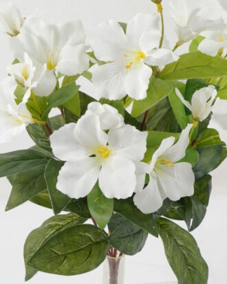 Artificial Flower 25*25*36cm Azalea *7 bush GS-44022007OZ-W1 Flowers Bush YeahFlower is one of Chinese leading OEM manufacturers and exporters , supplying the silk flowers, wholesale artificial trees Artificial Flower 25*25*36cm Azalea *7 bush GS-44022007OZ-W1 Flowers Bush YeahFlower is one of Chinese leading OEM manufacturers and exporters , supplying the silk flowers, wholesale artificial trees