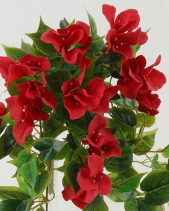 Artificial Flower 27*27*60cm Bougainvillea spectabilis hanging GS-44022011OZ-R1 Banners&Garlands YeahFlower is one of Chinese leading OEM manufacturers and exporters , supplying the silk flowers, wholesale artificial trees