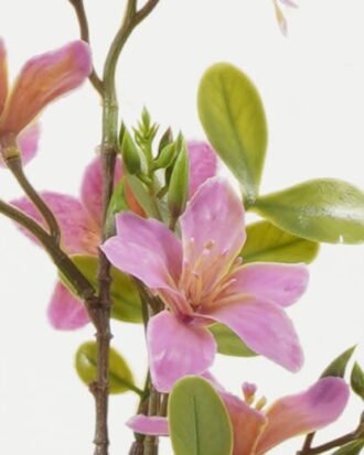 Artificial Flower 18*18*68cm Flower *6 single stem GS-36622050CONTI Single Flowers YeahFlower is one of Chinese leading OEM manufacturers and exporters , supplying the silk flowers, wholesale artificial trees Artificial Flower 18*18*68cm Flower *6 single stem GS-36622050CONTI Single Flowers YeahFlower is one of Chinese leading OEM manufacturers and exporters , supplying the silk flowers, wholesale artificial trees