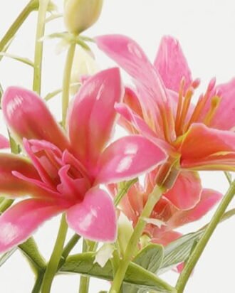 Artificial Flower 22*22*32cm Flower *7 bush GS-36622045CONTI-R1 Flowers Bush YeahFlower is one of Chinese leading OEM manufacturers and exporters , supplying the silk flowers, wholesale artificial trees