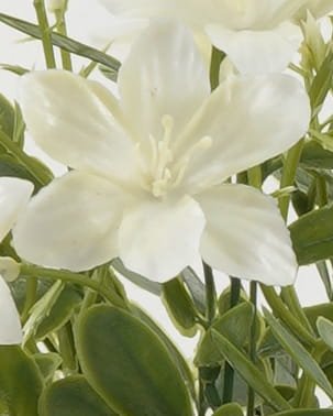 Artificial Flower 22*22*32cm Flower *7 bush GS-36622045CONTI-W1 Flowers Bush YeahFlower is one of Chinese leading OEM manufacturers and exporters , supplying the silk flowers, wholesale artificial trees