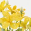 Artificial Flower 22*22*32cm Flower *7 bush GS-36622045CONTI-Y1 Flowers Bush YeahFlower is one of Chinese leading OEM manufacturers and exporters , supplying the silk flowers, wholesale artificial trees
