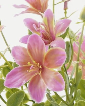 Artificial Flower 22*22*32cm Flower *7 bush GS-36622045CONTI Flowers Bush YeahFlower is one of Chinese leading OEM manufacturers and exporters , supplying the silk flowers, wholesale artificial trees