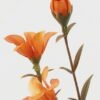 Artificial Flower 18*18*48cm Flowers*6 single stem GS-16822051-O1 Single Flowers YeahFlower is one of Chinese leading OEM manufacturers and exporters , supplying the silk flowers, wholesale artificial trees