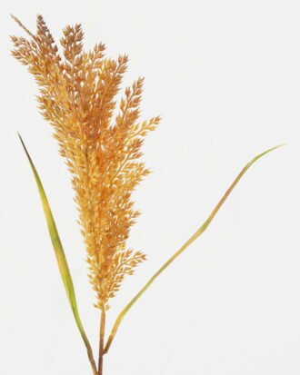 Artificial Flower 22*22*65cm Grass single stem GS-36622033OZ-Y1 Single Flowers YeahFlower is one of Chinese leading OEM manufacturers and exporters , supplying the silk flowers, wholesale artificial trees