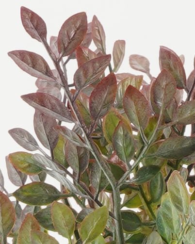 Artificial Flower Leaf 6 bundle GS-36622052CONTI_2 Artificial Flower 22*22*52cm Leaf *6 bundle GS-36622052CONTI Bouquet YeahFlower is one of Chinese leading OEM manufacturers and exporters , supplying the silk flowers, wholesale artificial trees