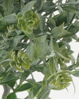 Artificial Flower 24*24*50cm Leaf *6 bundle GS-36622053CONTI-G2 Bouquet YeahFlower is one of Chinese leading OEM manufacturers and exporters , supplying the silk flowers, wholesale artificial trees Artificial Flower 24*24*50cm Leaf *6 bundle GS-36622053CONTI-G2 Bouquet YeahFlower is one of Chinese leading OEM manufacturers and exporters , supplying the silk flowers, wholesale artificial trees