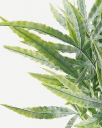 Artificial Flower 28*28*54cm Leaf *6 bundle GS-36622054CONTI Bouquet YeahFlower is one of Chinese leading OEM manufacturers and exporters , supplying the silk flowers, wholesale artificial trees Artificial Flower 28*28*54cm Leaf *6 bundle GS-36622054CONTI Bouquet YeahFlower is one of Chinese leading OEM manufacturers and exporters , supplying the silk flowers, wholesale artificial trees