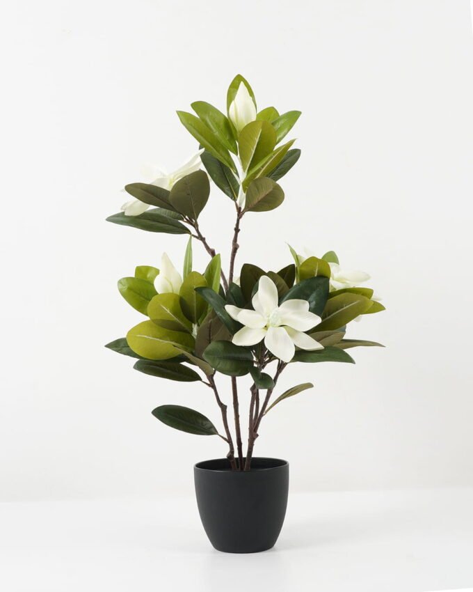 Artificial Flower 35*35*69cm Magnolia flower in PP pot GS-30622021 Potted Flowers&Plants YeahFlower is one of Chinese leading OEM manufacturers and exporters , supplying the silk flowers, wholesale artificial trees