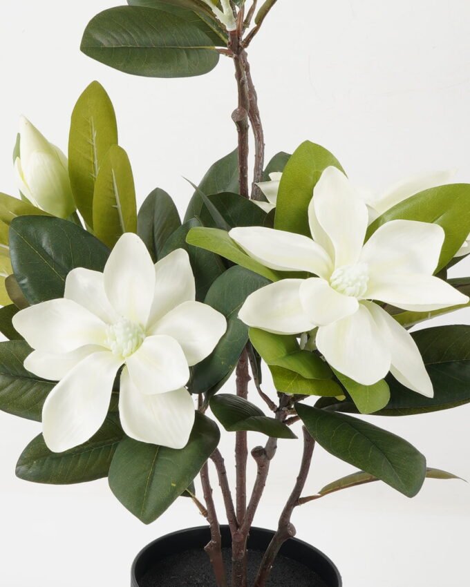 Artificial Flower 35*35*69cm Magnolia flower in PP pot GS-30622021 Potted Flowers&Plants YeahFlower is one of Chinese leading OEM manufacturers and exporters , supplying the silk flowers, wholesale artificial trees