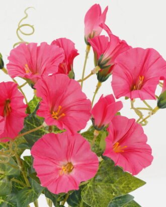 Artificial Flower 25*25*30cm Morning glory *7 bush GS-44022017OZ-R1 Flowers Bush YeahFlower is one of Chinese leading OEM manufacturers and exporters , supplying the silk flowers, wholesale artificial trees