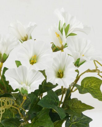 Artificial Flower 25*25*30cm Morning glory *7 bush GS-44022017OZ-W1 Flowers Bush YeahFlower is one of Chinese leading OEM manufacturers and exporters , supplying the silk flowers, wholesale artificial trees