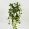 Artificial Flower Morning glory hanging GS-44022012OZ-W1_3 Artificial Flower 27*27*60cm Morning glory hanging GS-44022012OZ-W1 Banners&Garlands YeahFlower is one of Chinese leading OEM manufacturers and exporters , supplying the silk flowers, wholesale artificial trees