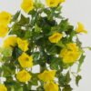 Artificial Flower Morning glory hanging GS-44022012OZ-Y1_4 Artificial Flower 27*27*60cm Morning glory hanging GS-44022012OZ-Y1 Banners&Garlands YeahFlower is one of Chinese leading OEM manufacturers and exporters , supplying the silk flowers, wholesale artificial trees