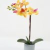 Artificial Flower 25*25*47cm Orchid *5 in PP pot GS-30622041 Potted Flowers&Plants YeahFlower is one of Chinese leading OEM manufacturers and exporters , supplying the silk flowers, wholesale artificial trees