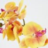 Artificial Flower 25*25*47cm Orchid *5 in PP pot GS-30622041 Potted Flowers&Plants YeahFlower is one of Chinese leading OEM manufacturers and exporters , supplying the silk flowers, wholesale artificial trees