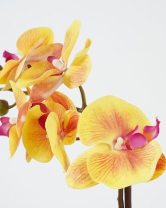 Artificial Flower 25*25*47cm Orchid *5 in PP pot GS-30622041 Potted Flowers&Plants YeahFlower is one of Chinese leading OEM manufacturers and exporters , supplying the silk flowers, wholesale artificial trees