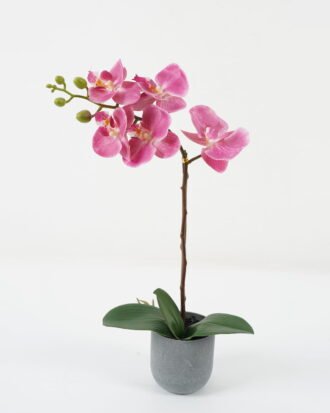 Artificial Flower 26*26*45cm Orchid *5 in PP pot GS-30622042 Potted Flowers&Plants YeahFlower is one of Chinese leading OEM manufacturers and exporters , supplying the silk flowers, wholesale artificial trees