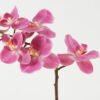 Artificial Flower 26*26*45cm Orchid *5 in PP pot GS-30622042 Potted Flowers&Plants YeahFlower is one of Chinese leading OEM manufacturers and exporters , supplying the silk flowers, wholesale artificial trees