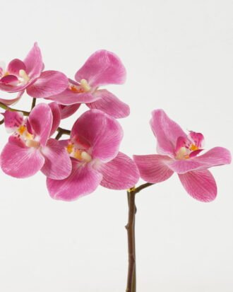 Artificial Flower 26*26*45cm Orchid *5 in PP pot GS-30622042 Potted Flowers&Plants YeahFlower is one of Chinese leading OEM manufacturers and exporters , supplying the silk flowers, wholesale artificial trees