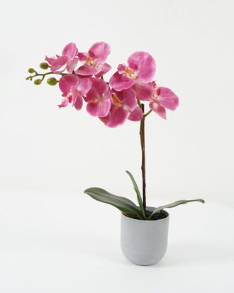 Artificial Flower 30*30*49cm Orchid *7 in PP pot GS-30622030 Potted Flowers&Plants YeahFlower is one of Chinese leading OEM manufacturers and exporters , supplying the silk flowers, wholesale artificial trees
