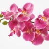 Artificial Flower 30*30*49cm Orchid *7 in PP pot GS-30622030 Potted Flowers&Plants YeahFlower is one of Chinese leading OEM manufacturers and exporters , supplying the silk flowers, wholesale artificial trees