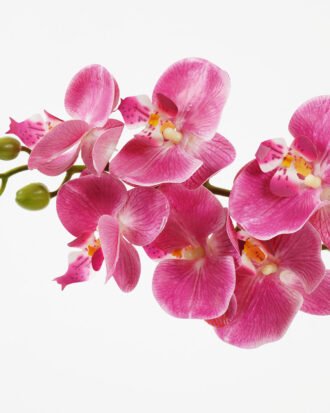 Artificial Flower 30*30*49cm Orchid *7 in PP pot GS-30622030 Potted Flowers&Plants YeahFlower is one of Chinese leading OEM manufacturers and exporters , supplying the silk flowers, wholesale artificial trees